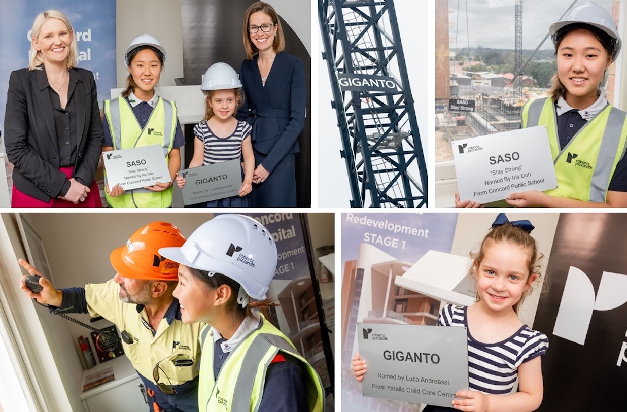Concord Hospital Redevelopment Name the Crane Competition